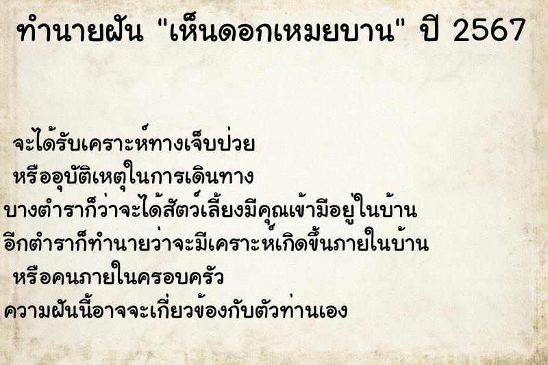 ทำนายฝัน เห็นดอกเหมยบาน