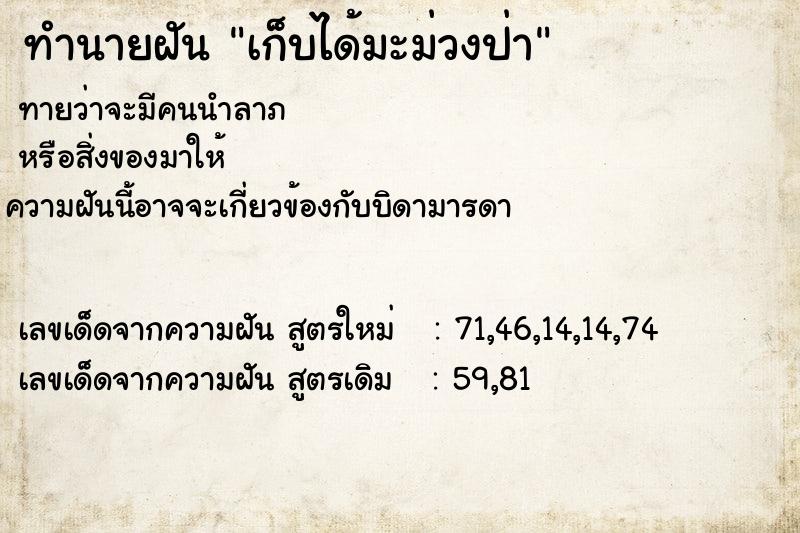 ทำนายฝัน เก็บได้มะม่วงป่า