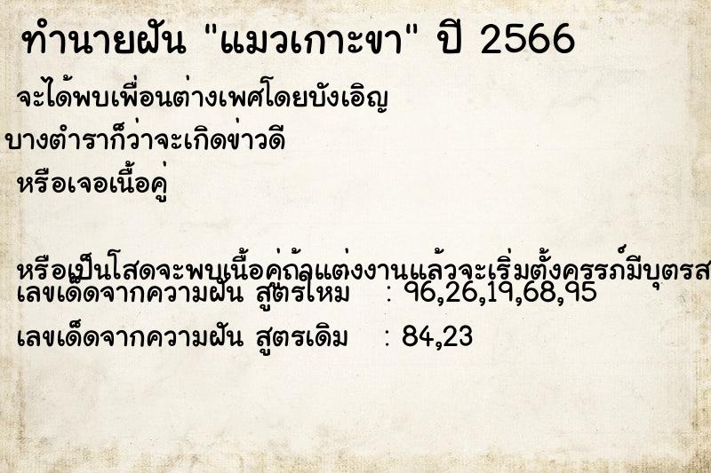 ทำนายฝัน #ทำนายฝัน #แมวเกาะขา  เลขนำโชค 