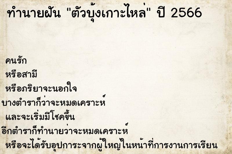 ทำนายฝัน ตัวบุ้งเกาะไหล่