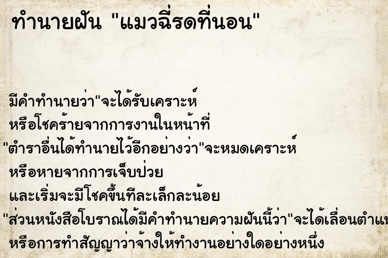 ทำนายฝัน แมวฉี่รดที่นอน  เลขนำโชค 