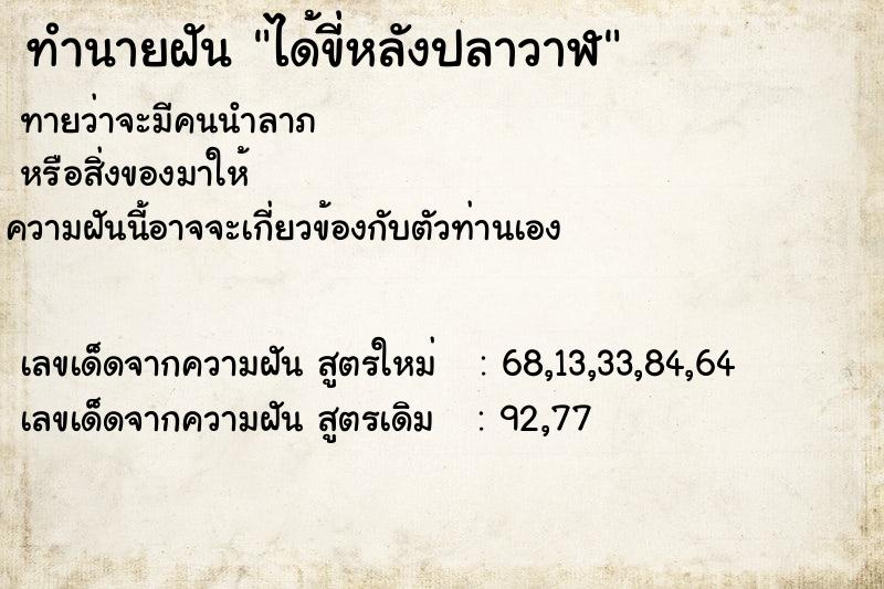 ทำนายฝัน ได้ขี่หลังปลาวาฬ  เลขนำโชค 