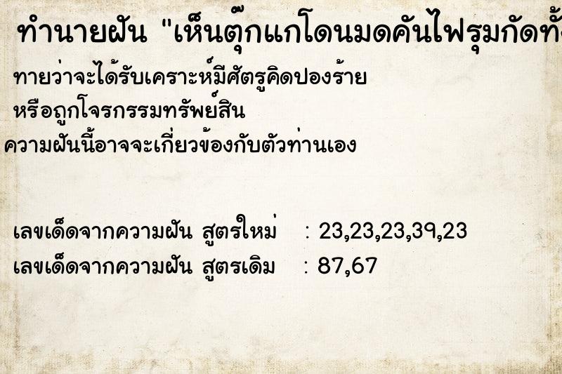 ทำนายฝัน เห็นตุ๊กแกโดนมดคันไฟรุมกัดทั้งตัว2ตัว