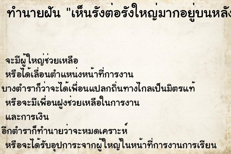 ทำนายฝัน #ทำนายฝัน #เห็นรังต่อรังใหญ่มากอยู่บนหลังคา  เลขนำโชค 