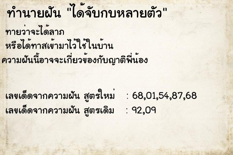 ทำนายฝัน ได้จับกบหลายตัว  เลขนำโชค 