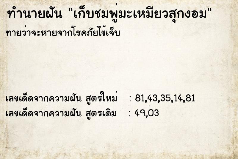 ทำนายฝัน เก็บชมพู่มะเหมียวสุกงอม