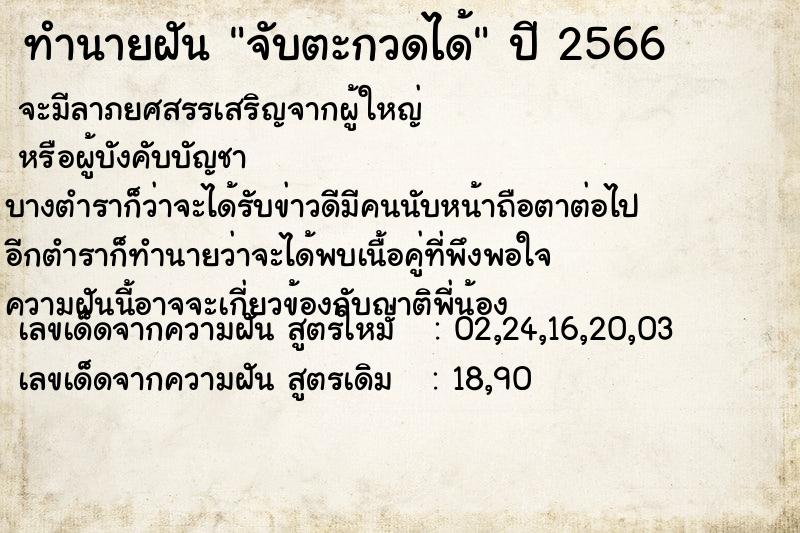 ทำนายฝัน จับตะกวดได้