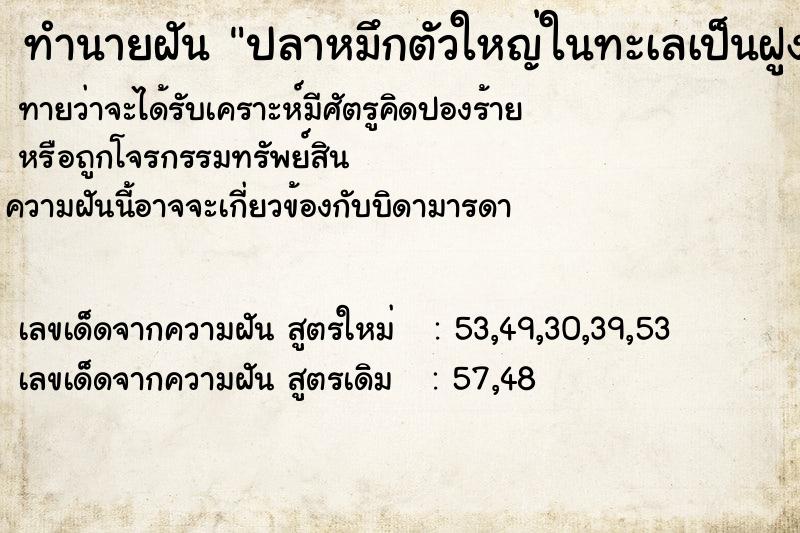 ทำนายฝัน ปลาหมึกตัวใหญ่ในทะเลเป็นฝูง