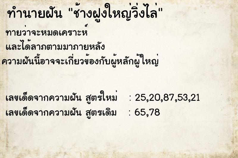 ทำนายฝัน ช้างฝูงใหญ่วิ่งไล่