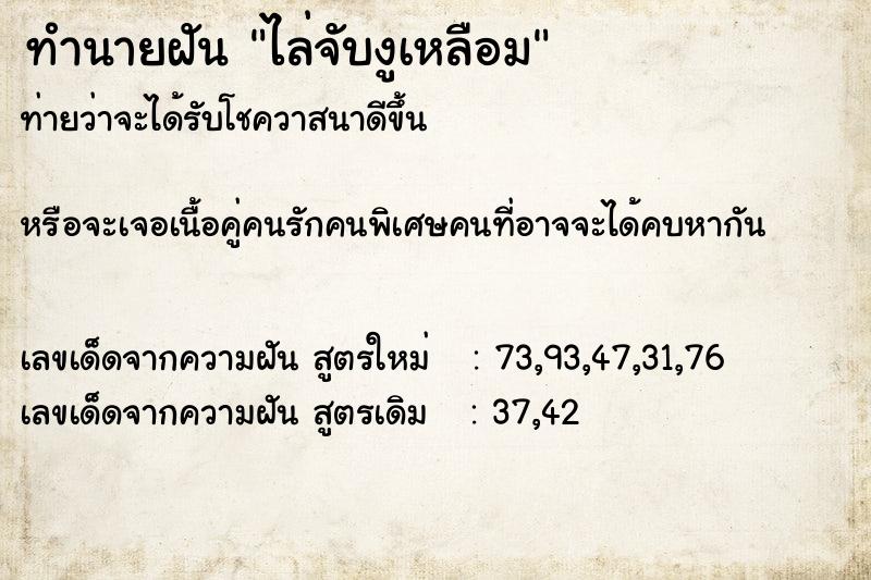 ทำนายฝัน ไล่จับงูเหลือม  เลขนำโชค 