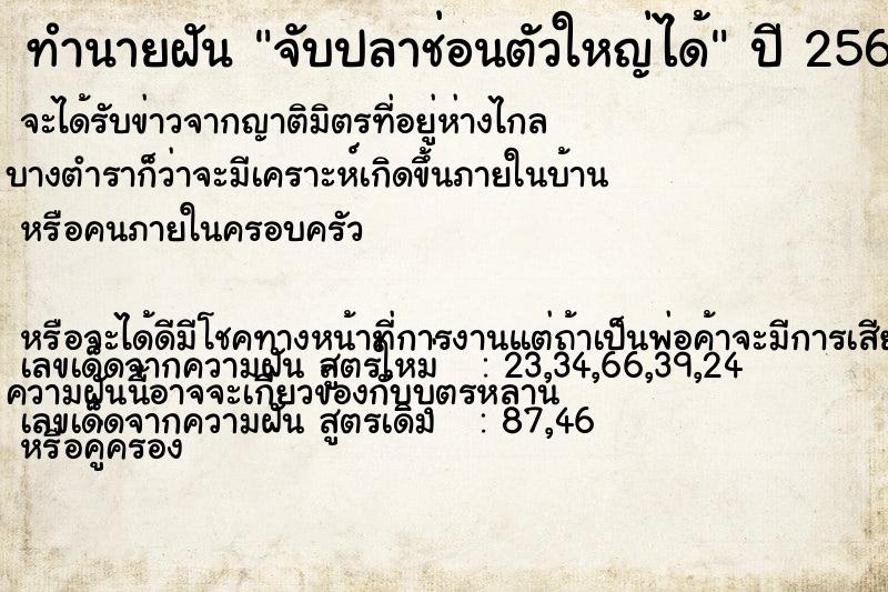 ทำนายฝัน จับปลาช่อนตัวใหญ่ได้