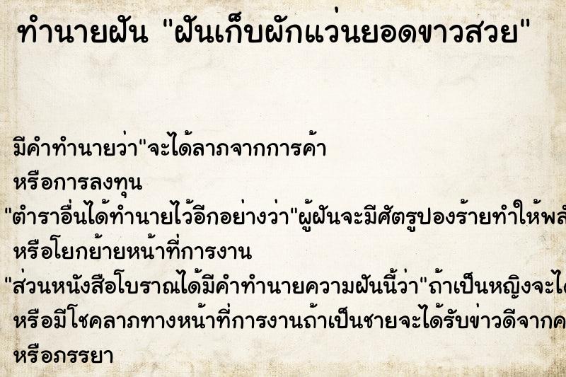 ทำนายฝัน #ทำนายฝัน #ฝันเก็บผักแว่นยอดขาวสวย  เลขนำโชค 