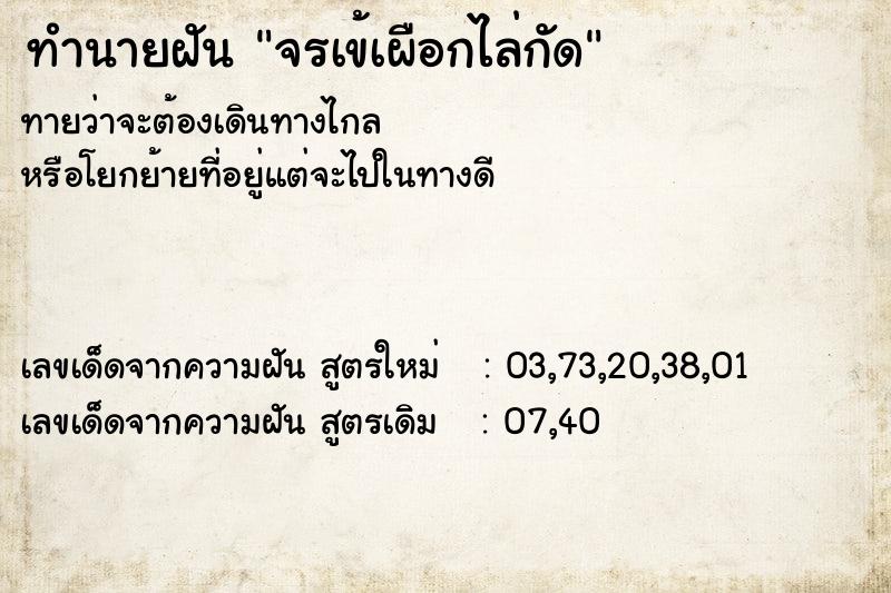 ทำนายฝัน จรเข้เผือกไล่กัด  เลขนำโชค 