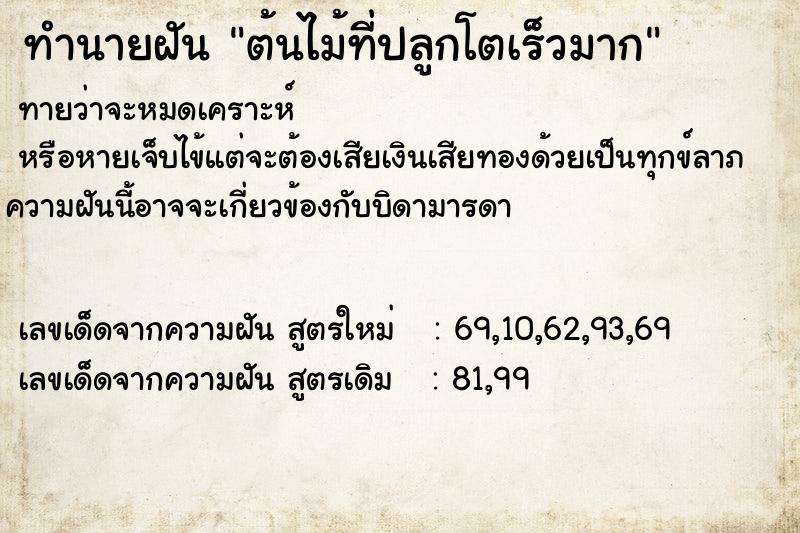 ทำนายฝัน ต้นไม้ที่ปลูกโตเร็วมาก