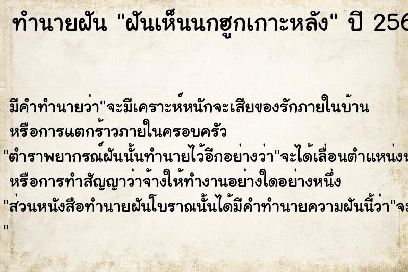 ทำนายฝัน ฝันเห็นนกฮูกเกาะหลัง