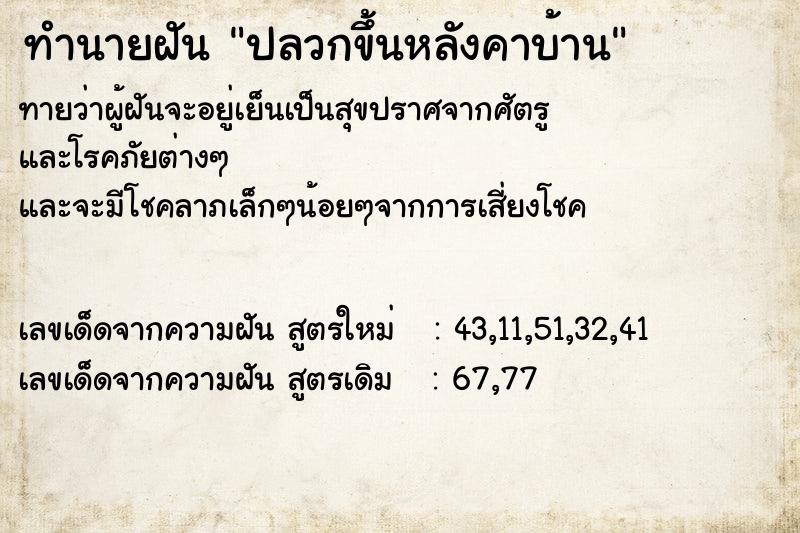 ทำนายฝัน ปลวกขึ้นหลังคาบ้าน