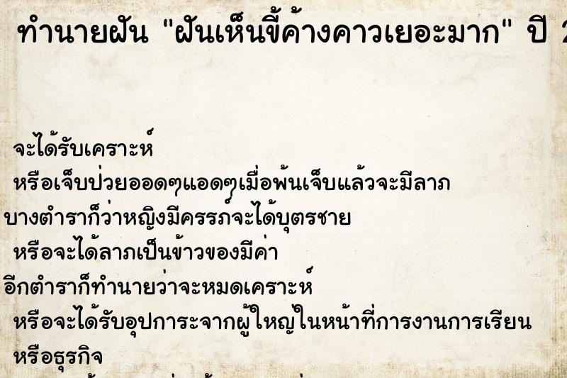 ทำนายฝัน ฝันเห็นขี้ค้างคาวเยอะมาก