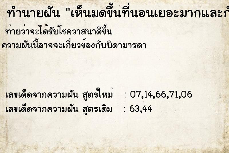 ทำนายฝัน เห็นมดขึ้นที่นอนเยอะมากและกัดด้วย