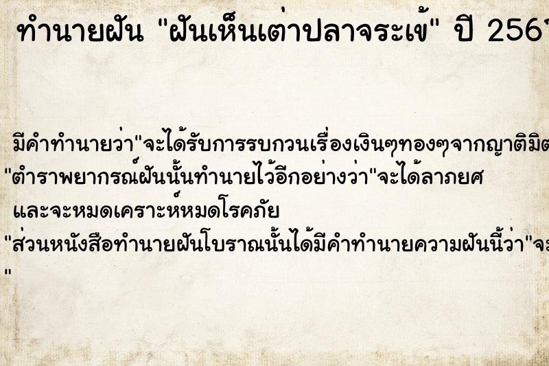 ทำนายฝัน ฝันเห็นเต่าปลาจระเข้