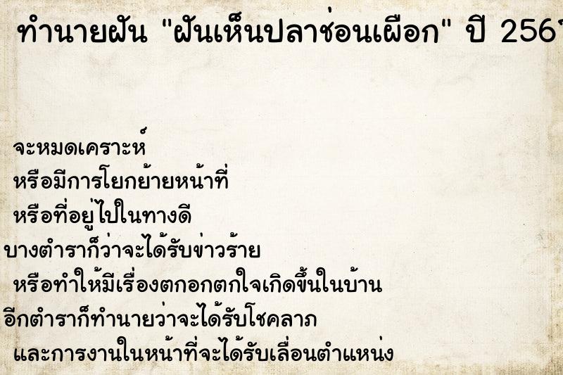 ทำนายฝัน ฝันเห็นปลาช่อนเผือก