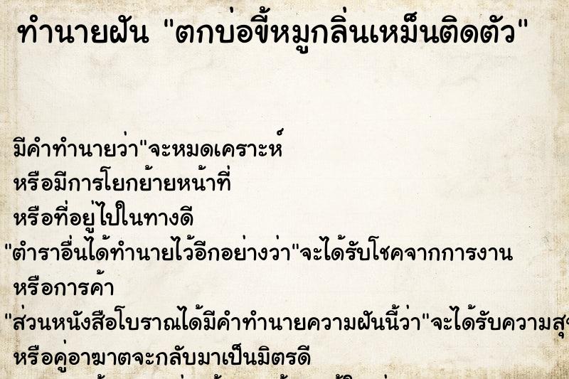 ทำนายฝัน ตกบ่อขี้หมูกลิ่นเหม็นติดตัว