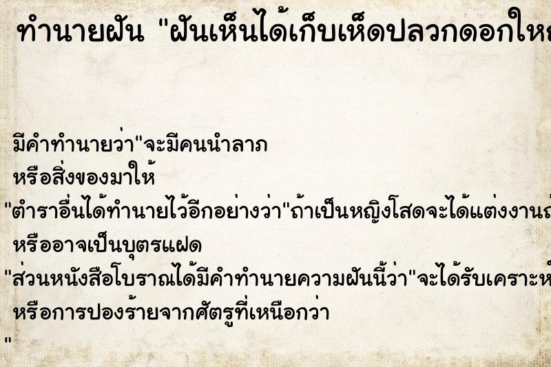 ทำนายฝัน ฝันเห็นได้เก็บเห็ดปลวกดอกใหญ่เยอะ