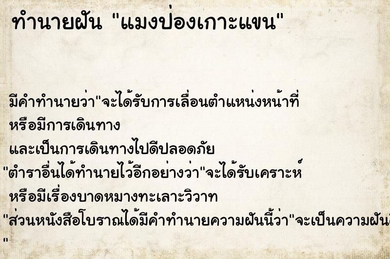 ทำนายฝัน แมงป่องเกาะแขน