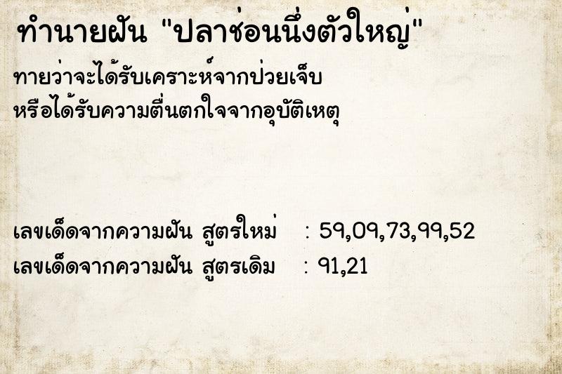 ทำนายฝัน ปลาช่อนนึ่งตัวใหญ่  เลขนำโชค 