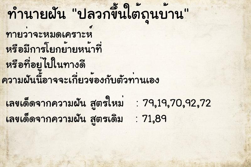 ทำนายฝัน ปลวกขึ้นใต้ถุนบ้าน