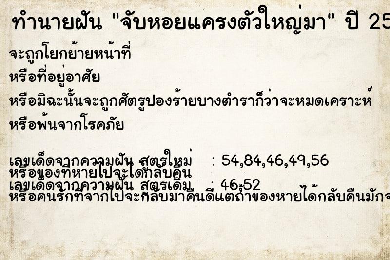 ทำนายฝัน จับหอยแครงตัวใหญ่มา  เลขนำโชค 