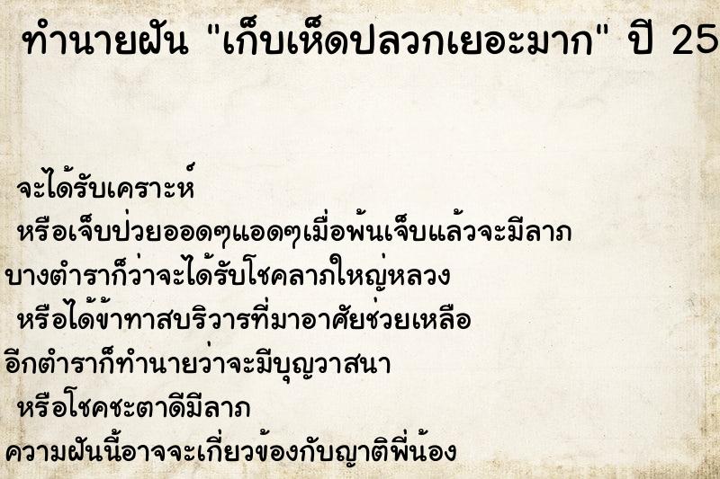 ทำนายฝัน เก็บเห็ดปลวกเยอะมาก