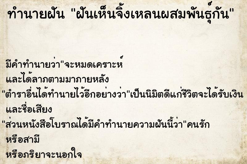 ทำนายฝัน ฝันเห็นจิ้งเหลนผสมพันธุ์กัน