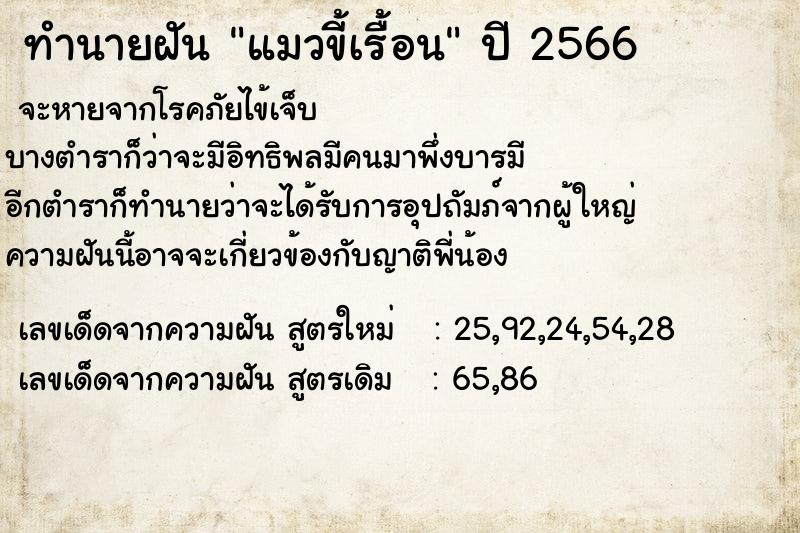 ทำนายฝัน แมวขี้เรื้อน  เลขนำโชค 