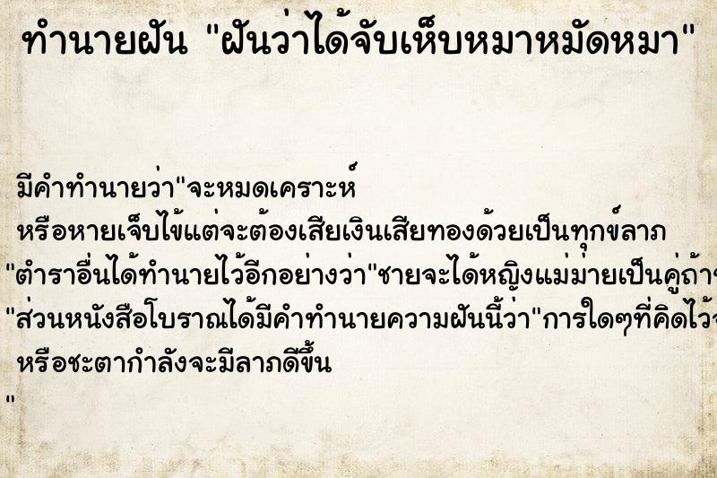 ทำนายฝัน ฝันว่าได้จับเห็บหมาหมัดหมา  เลขนำโชค 