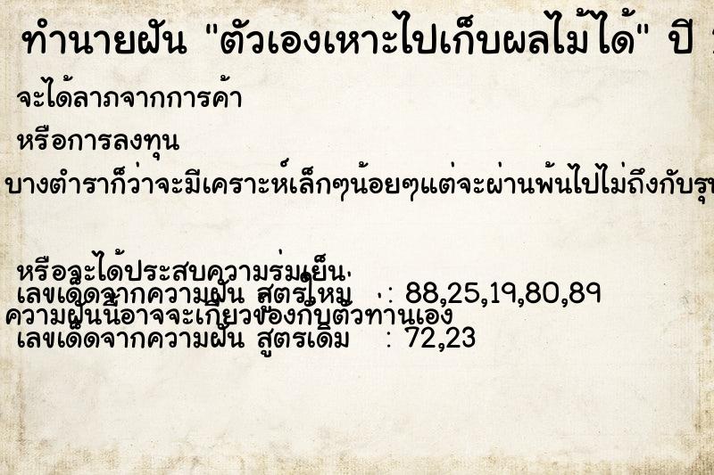 ทำนายฝัน ตัวเองเหาะไปเก็บผลไม้ได้