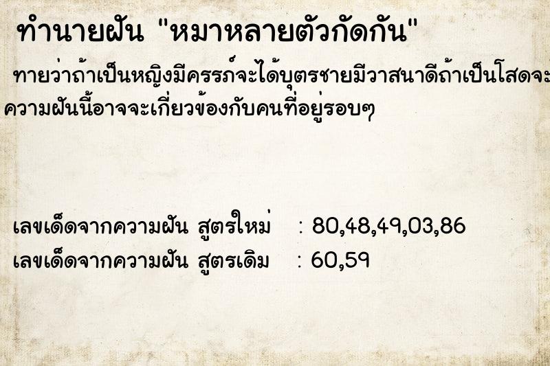 ทำนายฝัน หมาหลายตัวกัดกัน