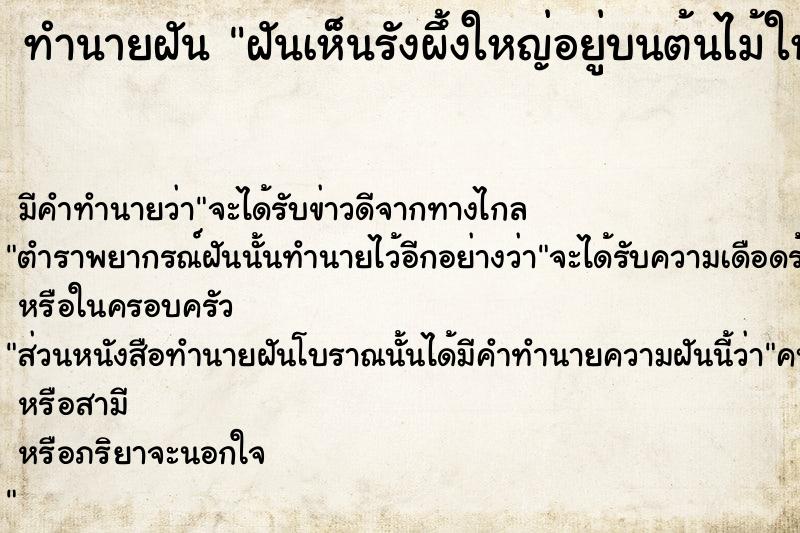 ทำนายฝัน ฝันเห็นรังผึ้งใหญ่อยู่บนต้นไม้ใหญ่