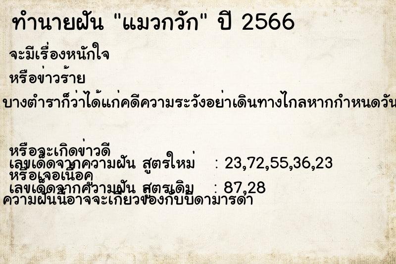 ทำนายฝัน แมวกวัก  เลขนำโชค 