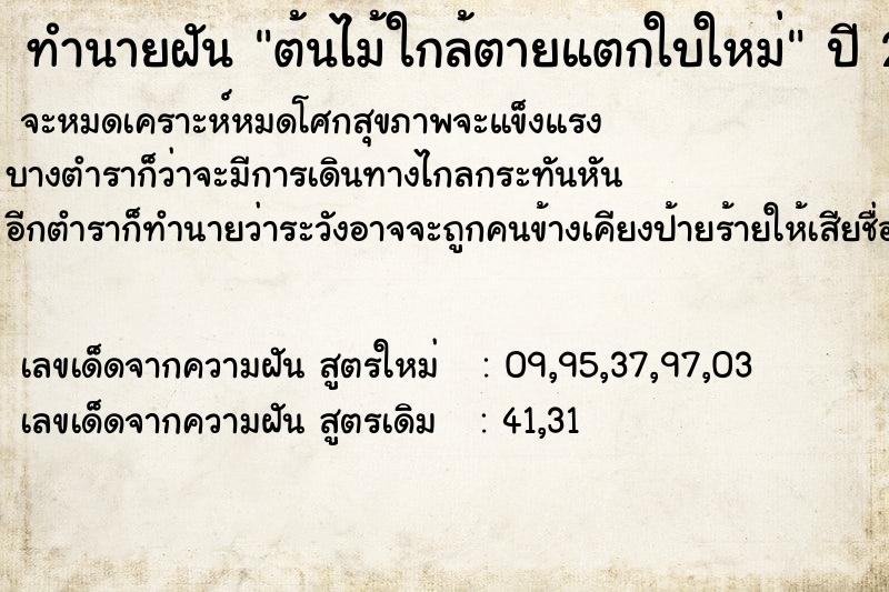 ทำนายฝัน ต้นไม้ใกล้ตายแตกใบใหม่