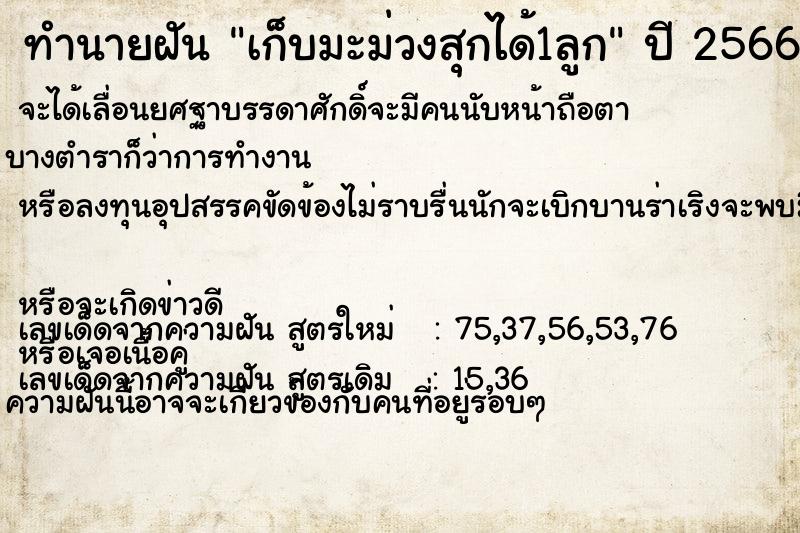 ทำนายฝัน เก็บมะม่วงสุกได้1ลูก