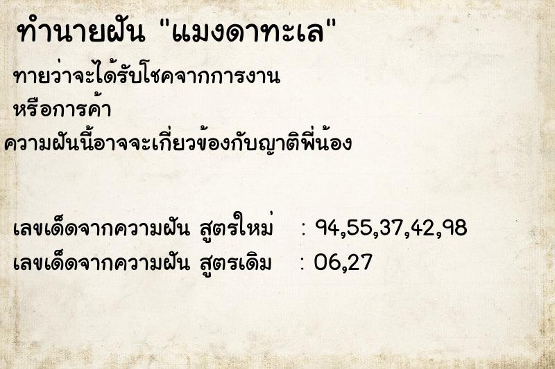 ทำนายฝัน แมงดาทะเล