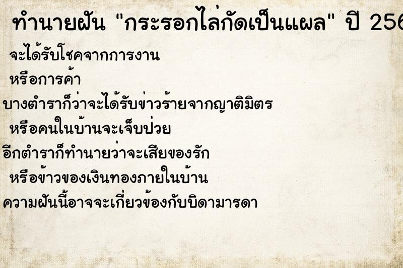 ทำนายฝัน กระรอกไล่กัดเป็นแผล