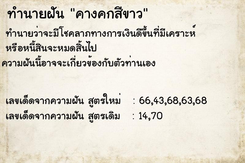 ทำนายฝัน คางคกสีขาว