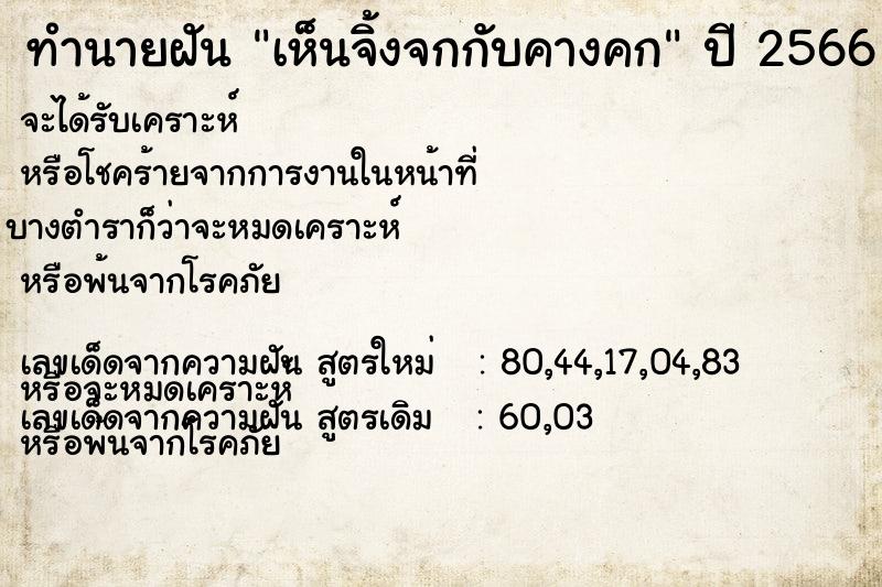 ทำนายฝัน เห็นจิ้งจกกับคางคก