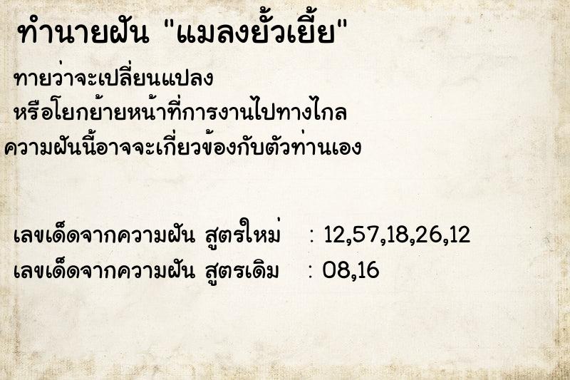 ทำนายฝัน แมลงยั้วเยี้ย