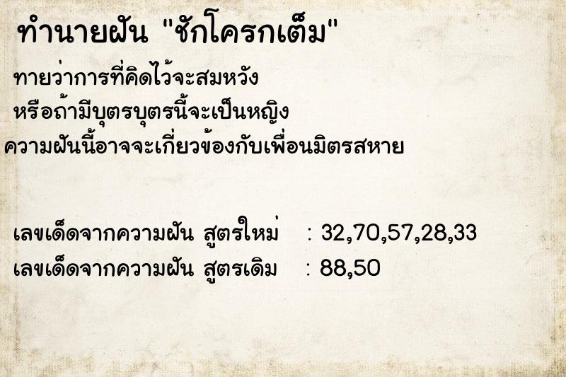 ทำนายฝัน ชักโครกเต็ม