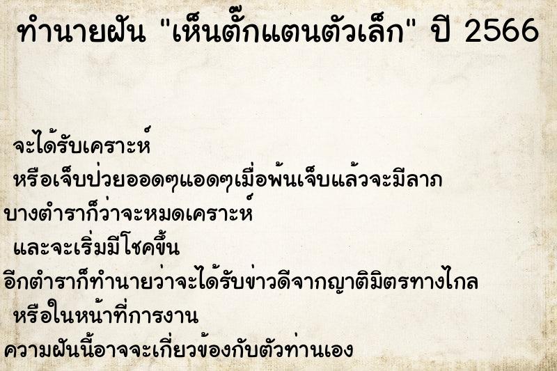 ทำนายฝัน เห็นตั๊กแตนตัวเล็ก