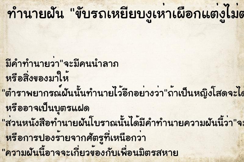 ทำนายฝัน ขับรถเหยียบงูเห่าเผือกแต่งูไม่ตาย