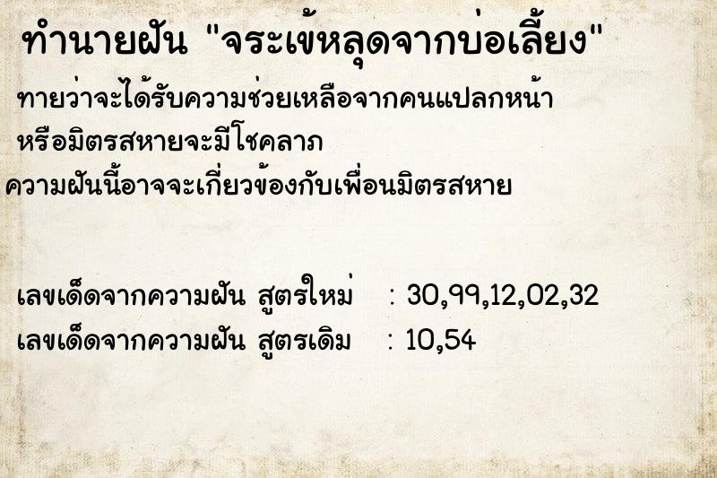 ทำนายฝัน จระเข้หลุดจากบ่อเลี้ยง