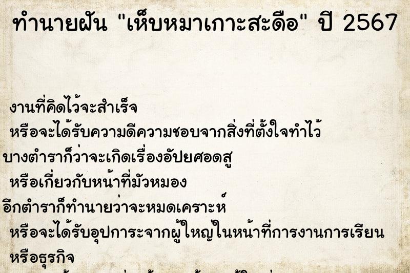 ทำนายฝัน เห็บหมาเกาะสะดือ